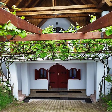 Klara Vendeghaz Villa Badacsonyors Bagian luar foto