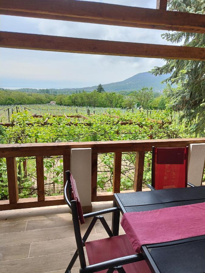 Klara Vendeghaz Villa Badacsonyors Bagian luar foto