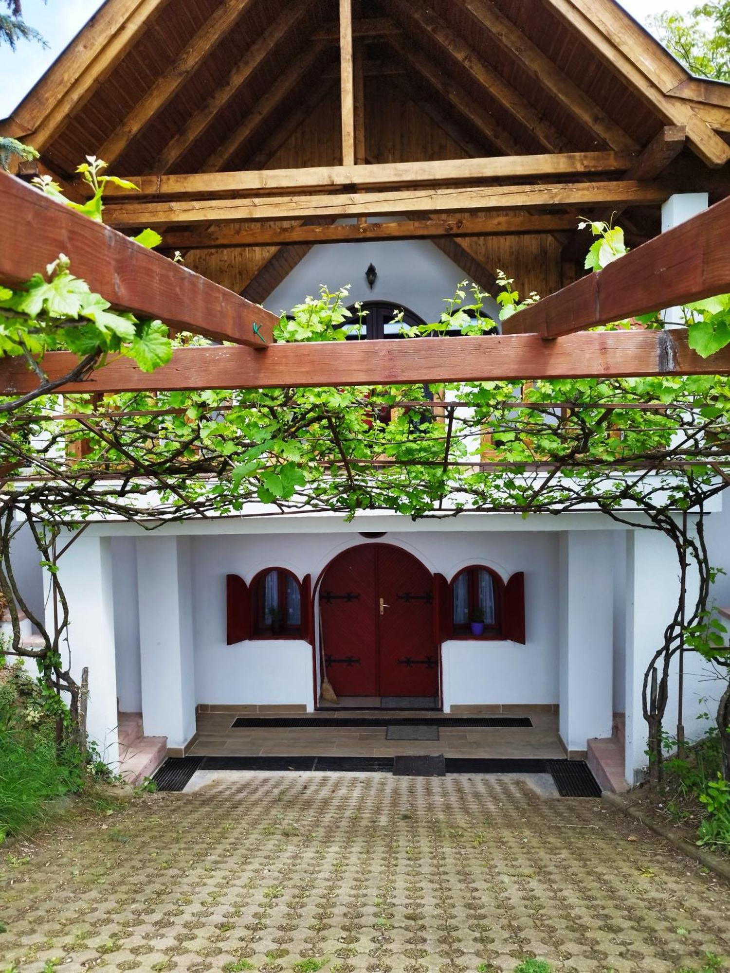 Klara Vendeghaz Villa Badacsonyors Bagian luar foto