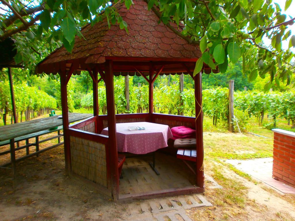 Klara Vendeghaz Villa Badacsonyors Bagian luar foto